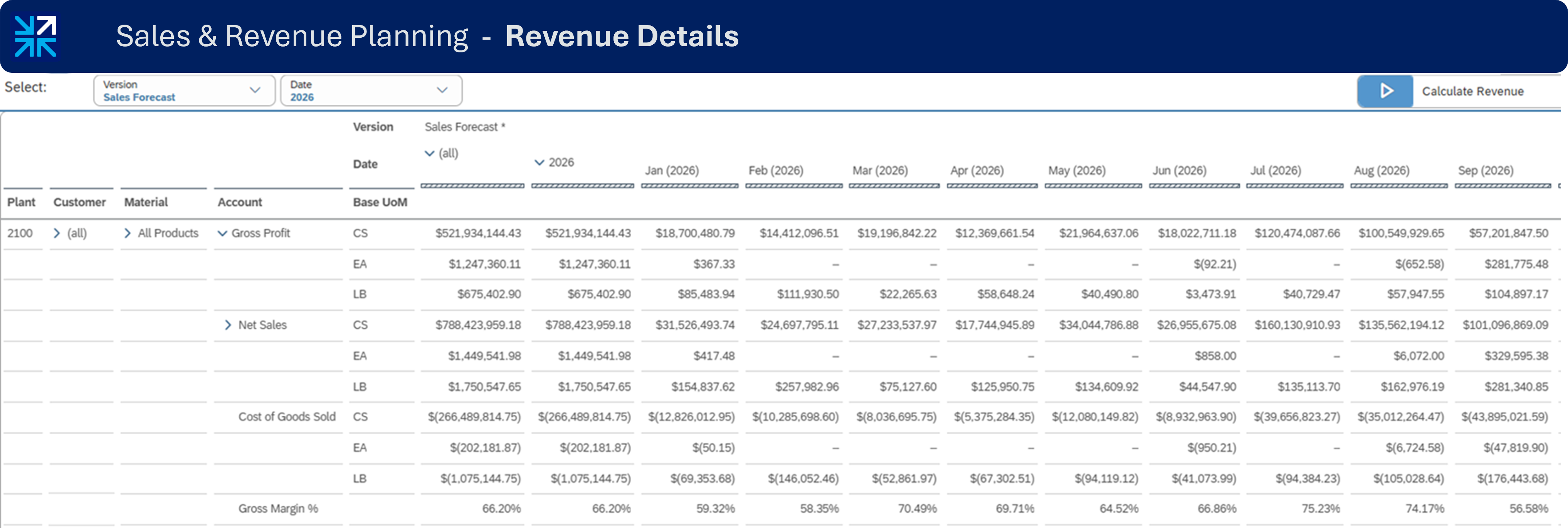 SAC Revenue Details — P&L planning view